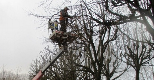 На улицах Ижевска убирают аварийные деревья