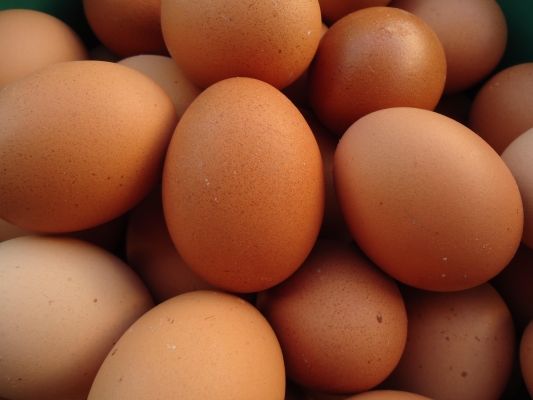 В магазинах Удмуртии проверили яйцо с предприятия, в продукции которого ранее нашли птичий грипп