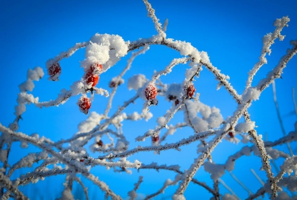 Морозы до -17°С ожидаются в Удмуртии в ночь на 27 декабря