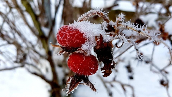 Похолодание до -10°С ожидается в Удмуртии в ночь с  26 на 27 февраля