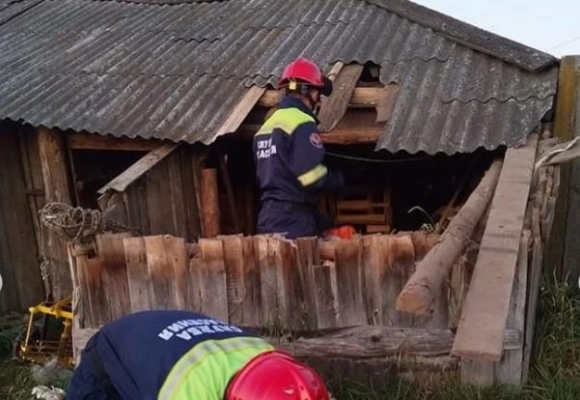 Спасатели достали корову из овощной ямы в одной из деревень Удмуртии