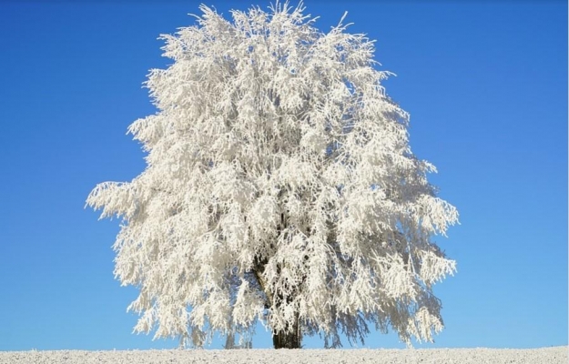 Похолодание до -33°С ожидается в Удмуртии в ночь на 19 февраля