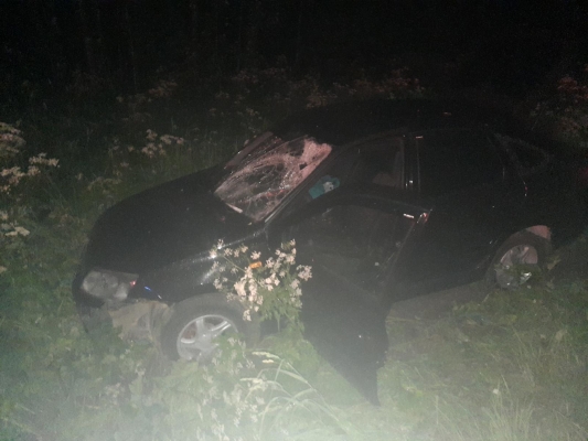 Пешехода сбили ночью на трассе в Завьяловском районе Удмуртии