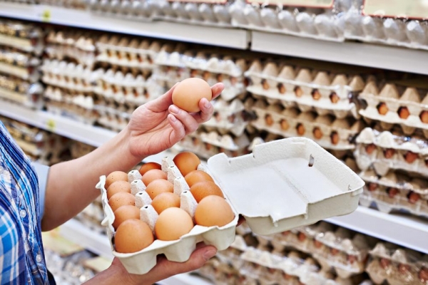 В Минсельхозе России опровергли информацию о возможном дефиците куриных яиц