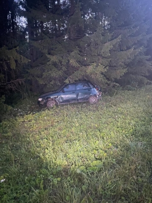 Пьяный водитель въехал в дерево в Удмуртии