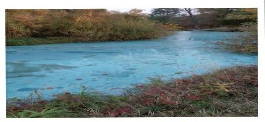 Одна из рек Удмуртии окрасилась в голубой цвет из-за неизвестного вещества
