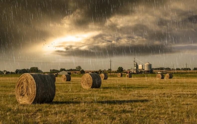 Кратковременные дожди и грозы прогнозируют в Удмуртии с 15 июля