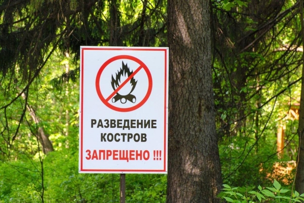 Высокая пожароопасность лесов в Удмуртии сохранится с 10 до 14 июня  