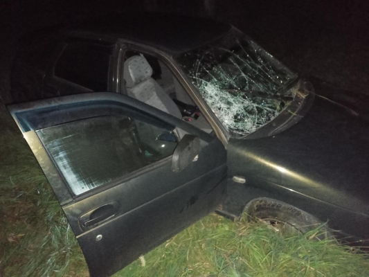 Пьяный водитель сбил юношу и девочку на трассе в Удмуртии