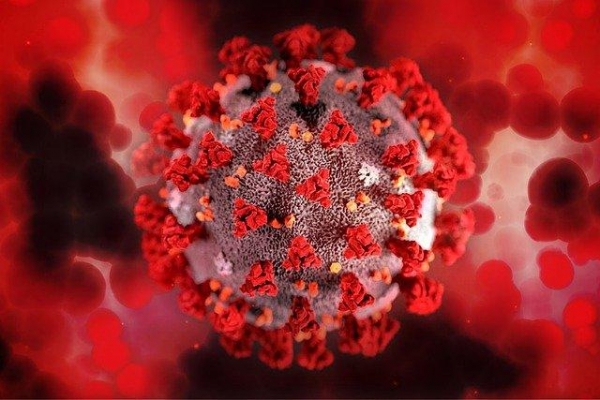 В Удмуртии выявили 227 новых случаев коронавирусной инфекции, 14 человек скончались