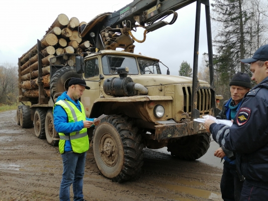 Нарушения при транспортировке древесины выявили в Удмуртии в рамках операции «Лесовоз»