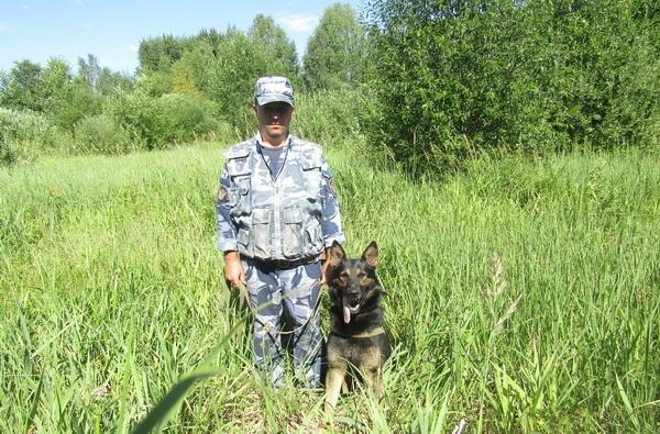 Служебная собака помогла найти пропавшую женщину в Увинском районе Удмуртии