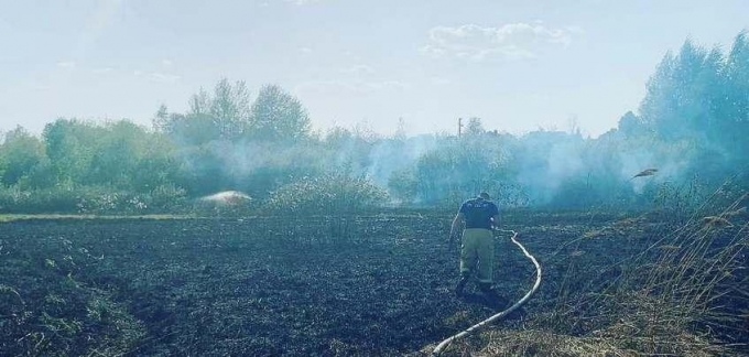 Сухой камыш загорелся в микрорайоне «Липовая роща» в Ижевске