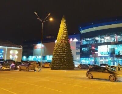 В Ижевске установили первую новогоднюю елку