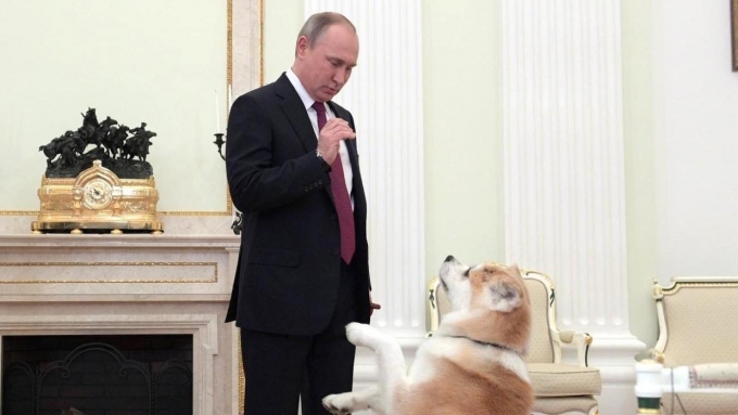 Владимир Путин поручил вести учет домашних животных в России