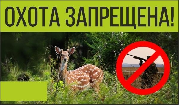 В лесах зеленой зоны Ижевска запретили охоту 